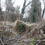 Immagini fantasmagoriche che si incontrano lungo il percorso | Foto AM Bruno