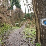 Il piccolo ponticello lungo il percorso  | Foto AM Bruno