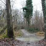 Un piccolo guado (vengono comodi un paio di stivaletti adatti!) | Foto AM Bruno