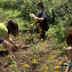 Messa a dimora delle piantine | Foro arc. Parco Nord di Milano 