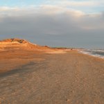 Plage de l'Espiguette
