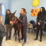 Un intervento assistito all'interno della Cascina Vittoria 