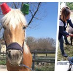 I protagonisti degli Interventi Assistiti con gli animali a Cascina Vittoria 
