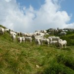 Mandria su terrazzo panoramico