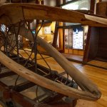 Scheletro di una Balenottera comune che si spiaggiò a Bordighera nel 1844 | Foto R. Valterza 