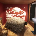 Corazza di Gliptodonte, mammifero erbivoro vissuto nel Pleistocene | Foto R. Valterza 