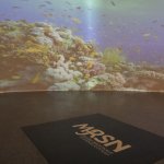 Videomapping gigante dove pesci e balene fanno capolino | Foto R. Valterza 