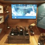 Una stanza degli esploratori all'interno dell'Arca| Foto R. Valterza 