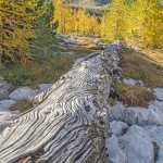 Scorci panoramici (foto M. Da Pozzo)