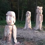 Come sono nati i 'Guardiani dell'oasi' 