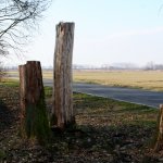 Come sono nati i 'Guardiani dell'oasi' 