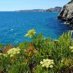 Scorcio panoramico (foto arc. Parco)