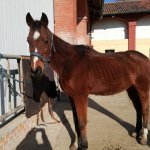 Marechiaro, il giorno del suo arrivo