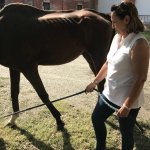 Marechiaro con Erika, oggi 