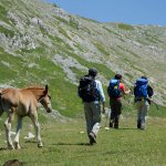 Sul Sentiero dei Briganti (foto F. Vanzetta)