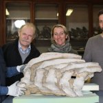 Alcuni dei partecipanti alle fasi di trasferimento dei reperti storici di cetacei dal Museo di Palazzo Carignano, da sinistra verso destra: Piero Damarco, Conservatore del Museo Paleontologico Territoriale dell’Astigiano (MPTA), Daniele Ormezzano, Co