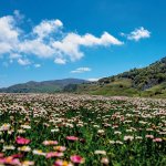 Panorama estivo del parco - Foto p.g.c. Ente parco dei Nebrodi