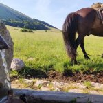 La borraccia e l'acqua simboli di questo viaggio