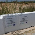 Difese dunali a Farol (foto L. Giunti)