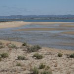 Parco di Ria Formosa (foto L. Giunti)