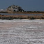 Saline a Faro (foto L. Giunti)