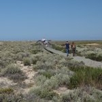 Turisti su sentiero a Ilha Deserta (foto L. Giunti)
