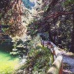 Nel Gran Bosco di Salbetrand (foto A. Corrà)