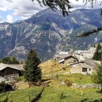 Nel Gran Bosco di Salbetrand (foto A. Corrà)