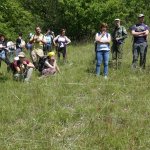 Esempio di gestione della prateria alpina  (foto L. Giunti)