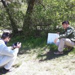 Rilievo fotografico di zecche in vegetazione (foto arc. parco)