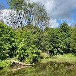 Il paesaggio della Fairy Glen, un'umida gola boscosa
