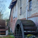 Le ruote del Mulino Forno di Virolengo