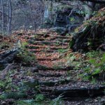 Il sentiero delle peonie