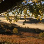 Panorama dalla tenuta Bertolotto - Foto Bertolotto