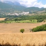 Area di intervento selettivo (Foto Ente parco)