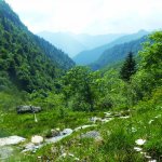 Sul sentiero in Val Grande (Foto A. Corrà) 