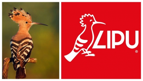 Foto Pixabay - logo p.g.c. LIPU 
