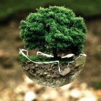 Riflessioni sull'ambientalismo del XXI secolo