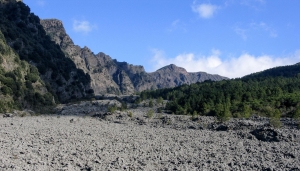 Parco nazionale del Vesuvio 
