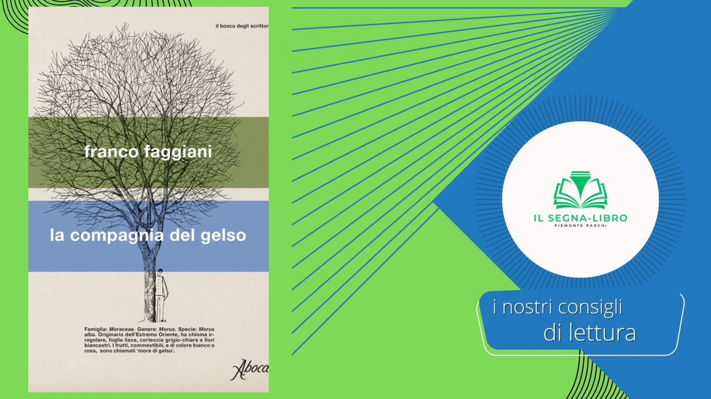 La compagnia del gelso