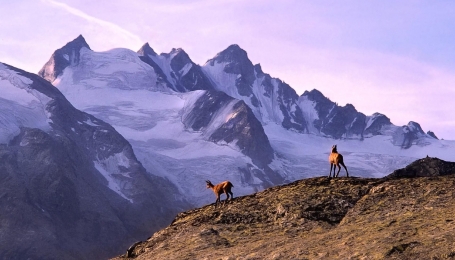 Parco nazionale del Gran Paradiso - Foto Pixabay