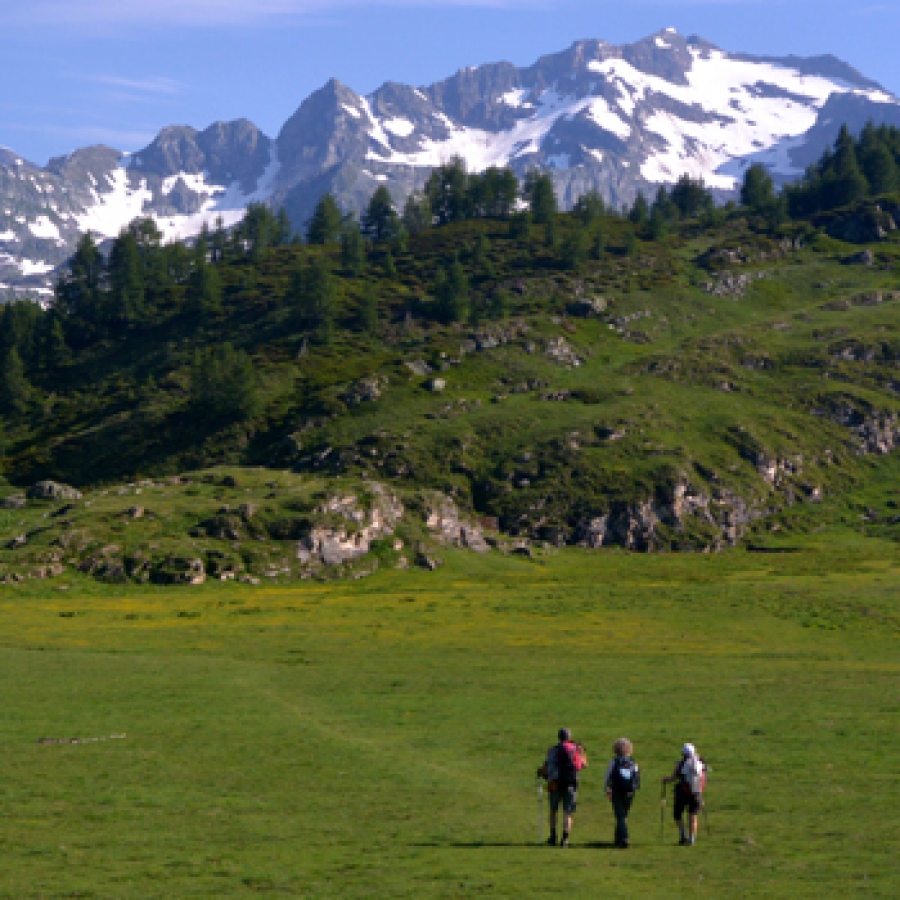 Alpeggi senza cnfini: sui piani del Sangiatto Foto Toni Farina