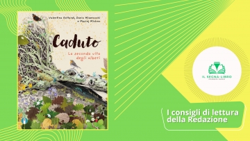 Caduto. La seconda vita degli alberi - Piccoli semi di lettura
