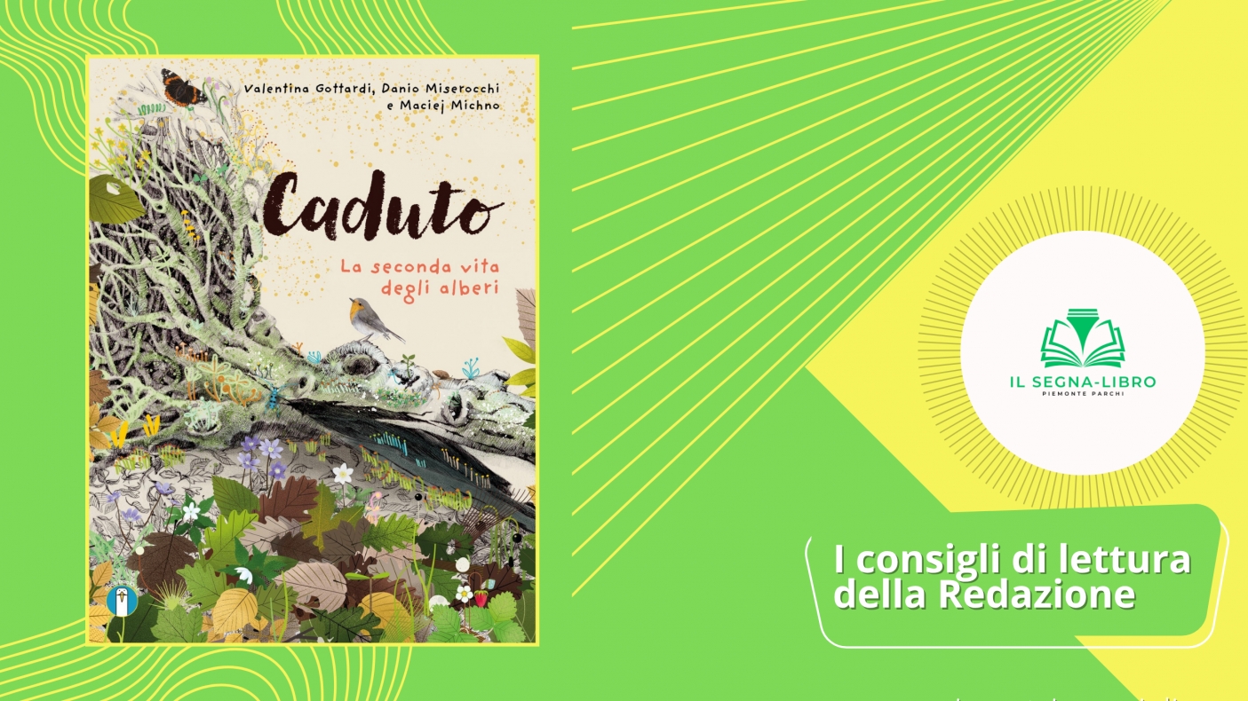 Caduto. La seconda vita degli alberi - Piccoli semi di lettura