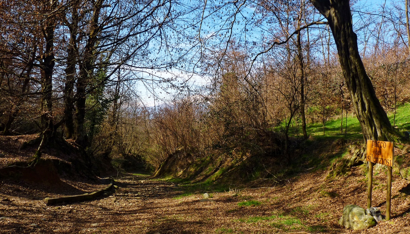 Uno scorcio del sentiero che porta all'area attrezzata dell'Aula Verde 