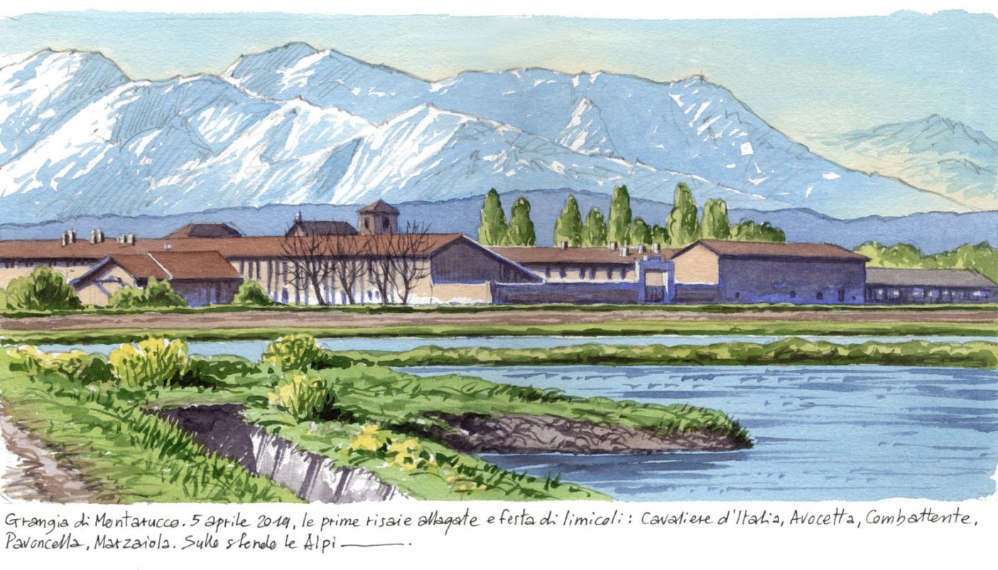 Grange di Montarucco | Acquerello di Lorenzo Dotti 