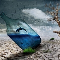 Chi sono i profughi ambientali