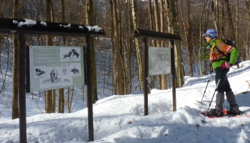 Pannelli illustrativi del parco lungo il sentiero verso la Certosa di Pesio  