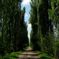 Cornalese, Borgo fuori dal tempo