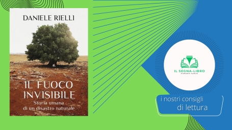 Un fuoco invisibile si aggira per gli uliveti del Salento